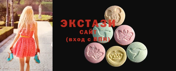 хмурый Алексин