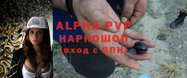хмурый Алексин