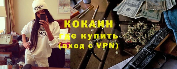 хмурый Алексин