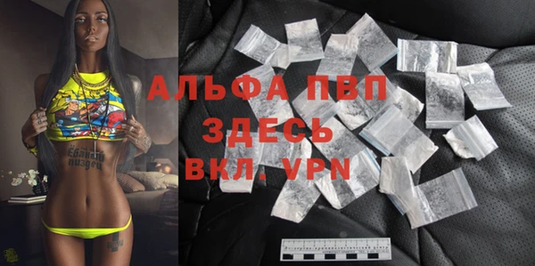 хмурый Алексин