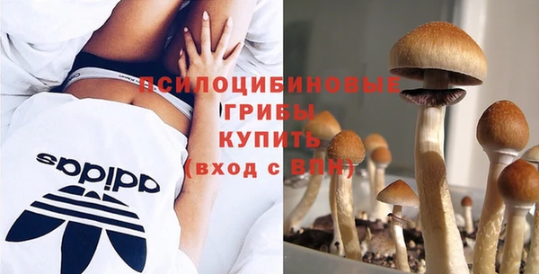 кокс Абдулино