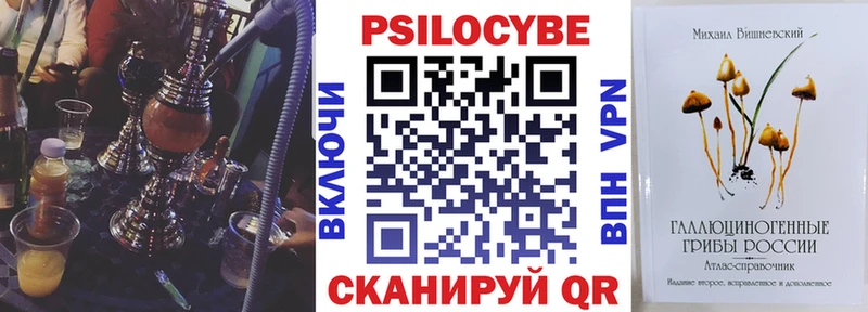 omg вход  Иланский  Галлюциногенные грибы ЛСД 